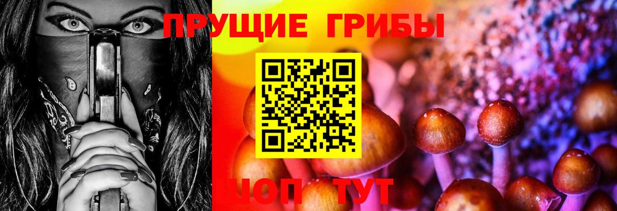 Галлюциногенные грибы GOLDEN TEACHER Киров
